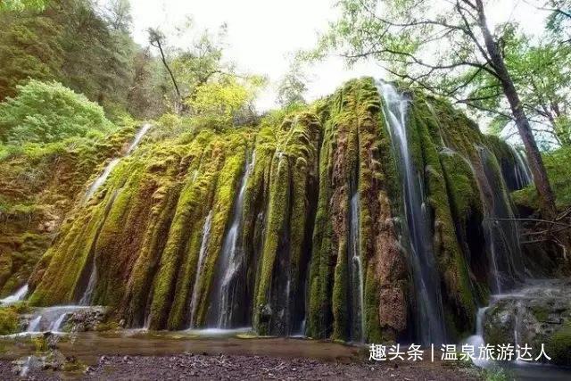 雪落倾城 与你共赏