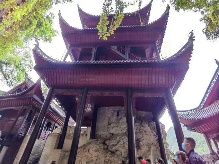 烙油饼怎么和面更柔软论坛-全球最火热的社区讨论平台